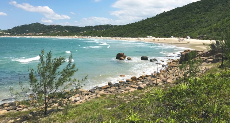 Aproveitar o verão.